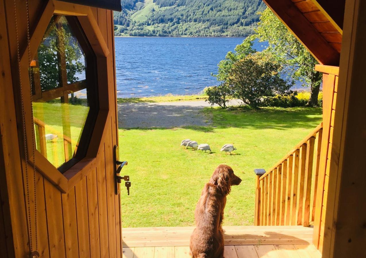 Seal Point Cabin - Luxury Glamping Cairndow Eksteriør billede